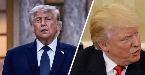 Composite photo of Donald Trump.