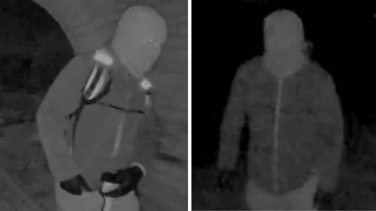 image of A masked suspect was captured on Nancy Guthrie's doorbell camera.