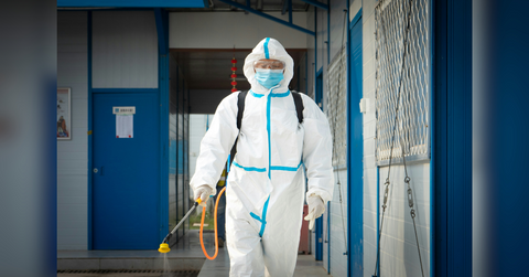 the business owners guide to commercial pest control safeguarding your workplace from infestations
