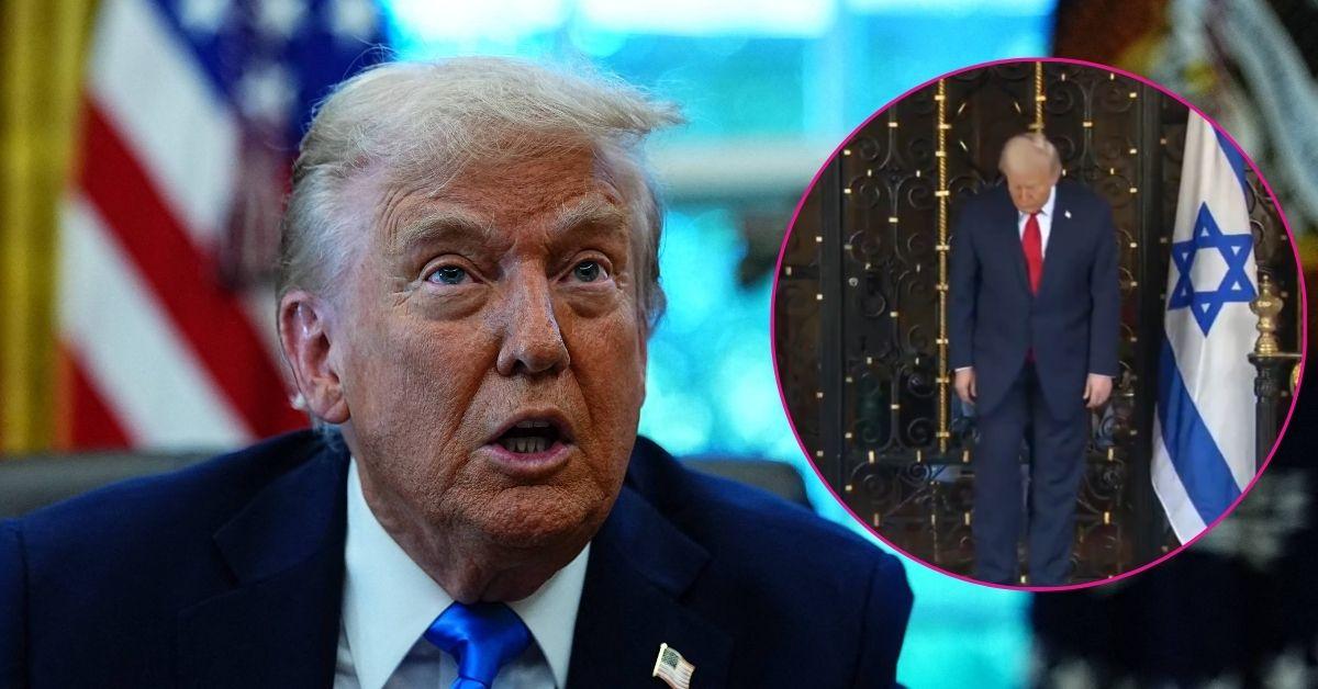 donald trump descends small steps video