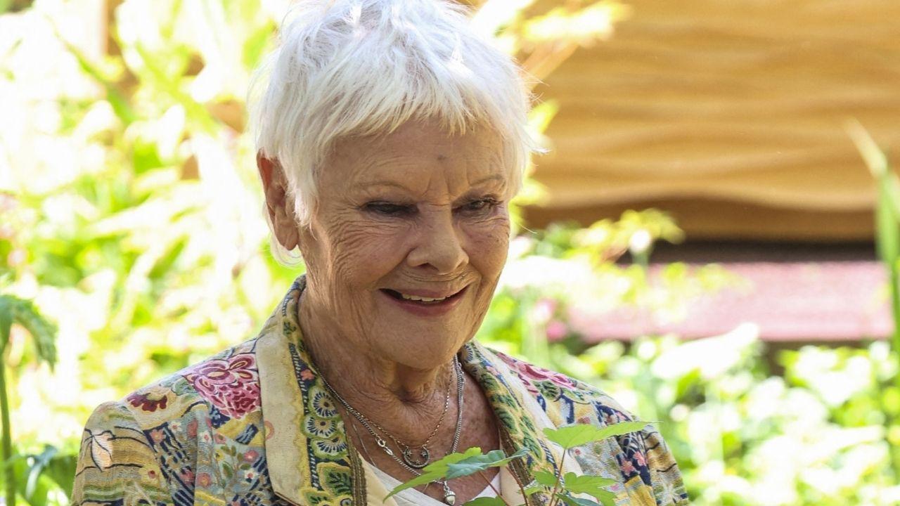 Judi Dench continued working in the entertainment industry despite having macular degeneration, which causes vision loss.