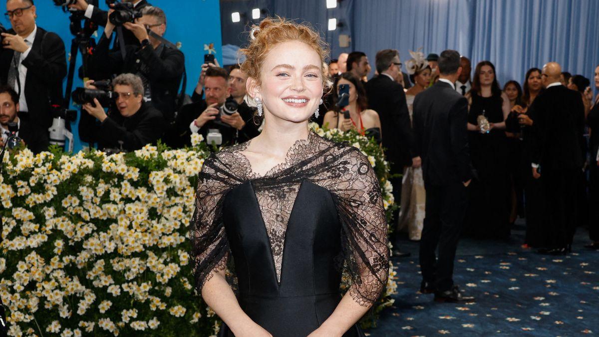 celebrities skipping met gala  zendaya meryl streep
