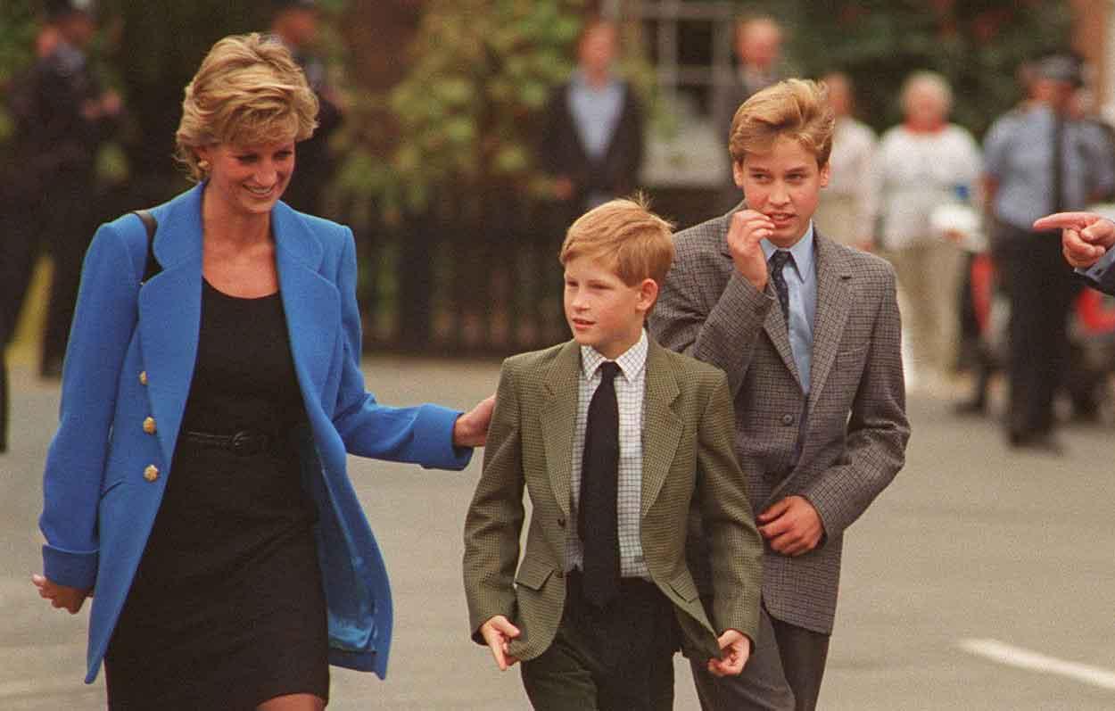 princess diana would be infuriated by prince william prince harrys long standing feud biographer spills