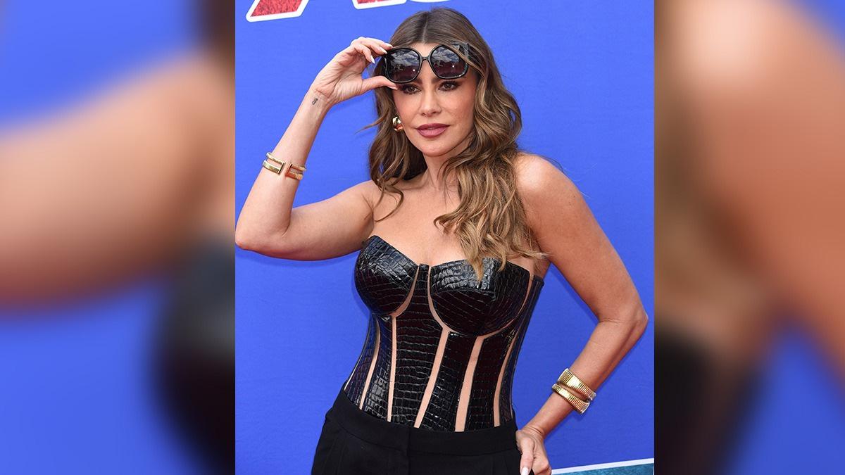 image of Sofia Vergara 