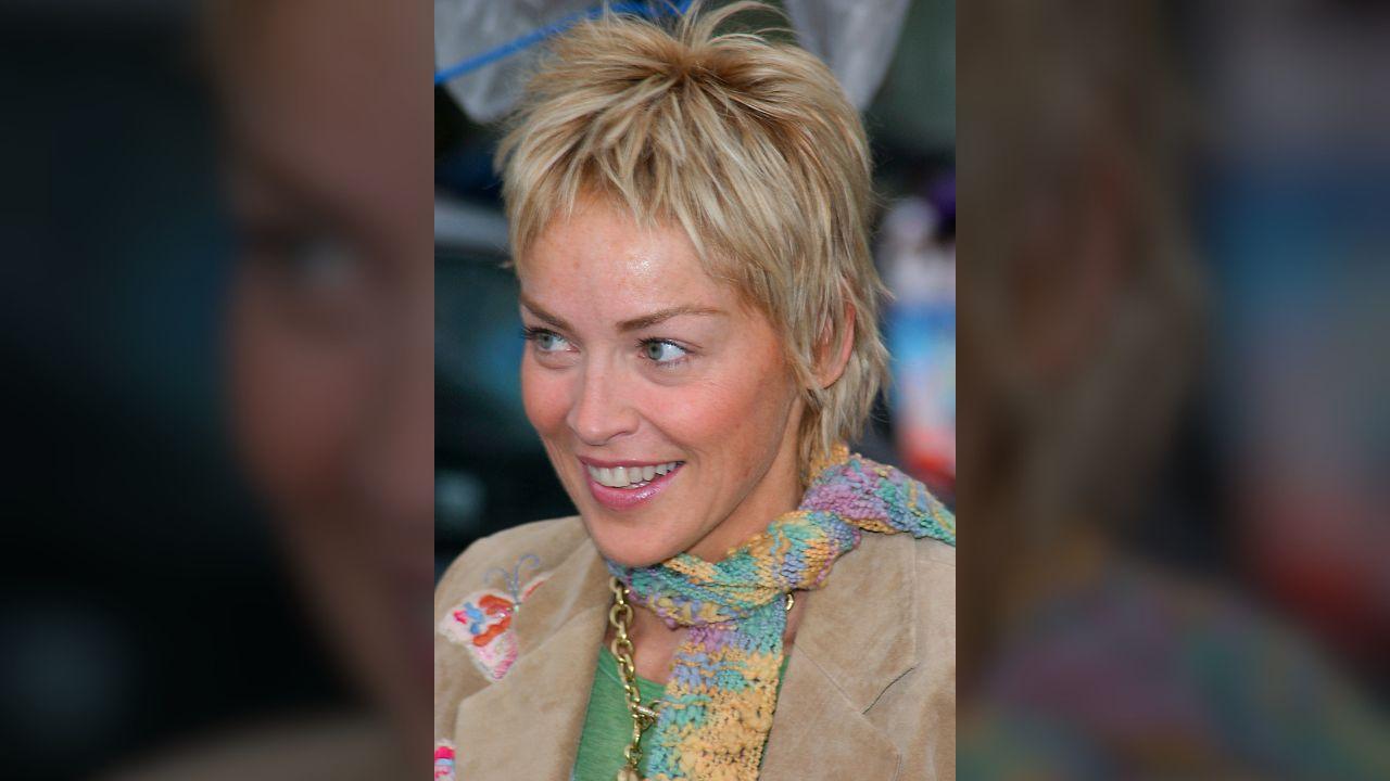 Photo of Sharon Stone said her humanitarian work focuses on 'things that are most needed,' and she felt that 'American civil liberties' were at the top of her list.