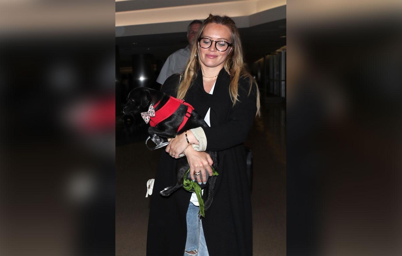 Hilary Duff boards her flight with an adorable puppy at LAX