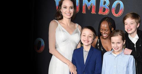 angelina jolie family
