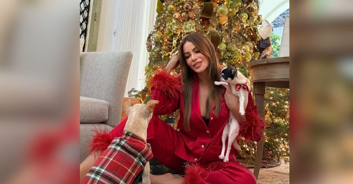 sofia vergara enjoying single life