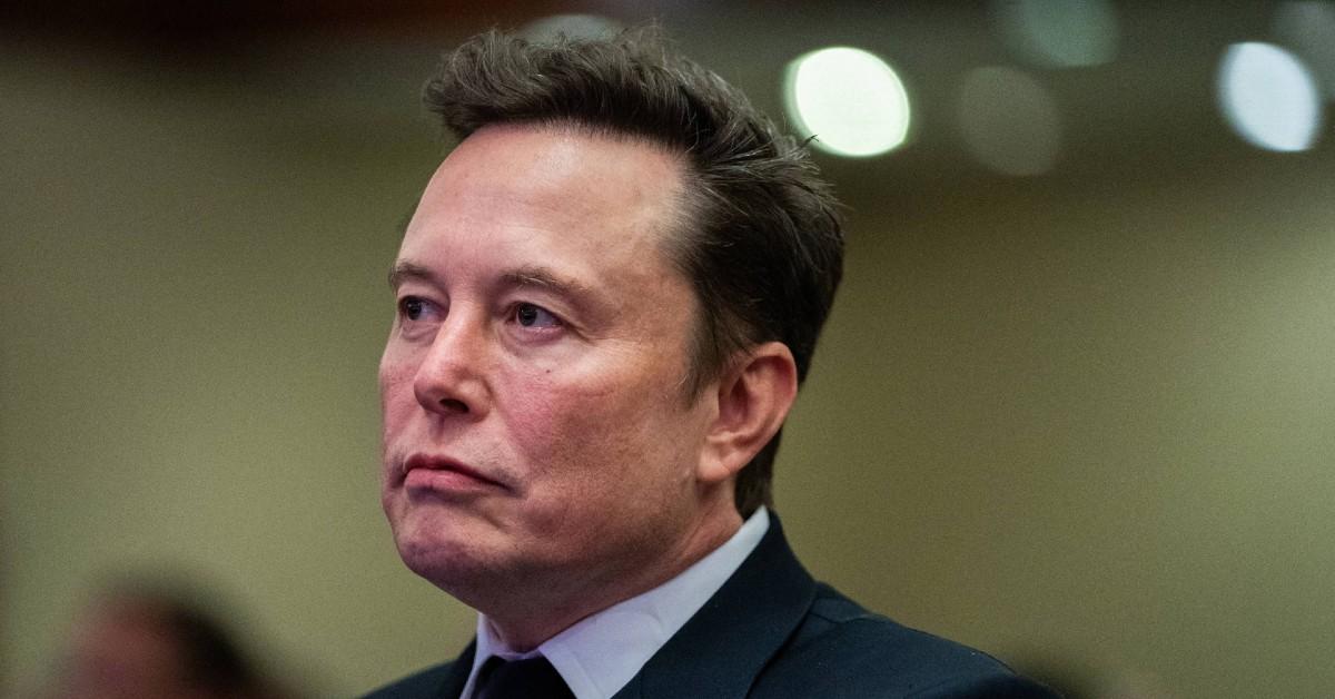 elon musk betrays right wing british politician he was set to back with million by declaring his party needs a new leader