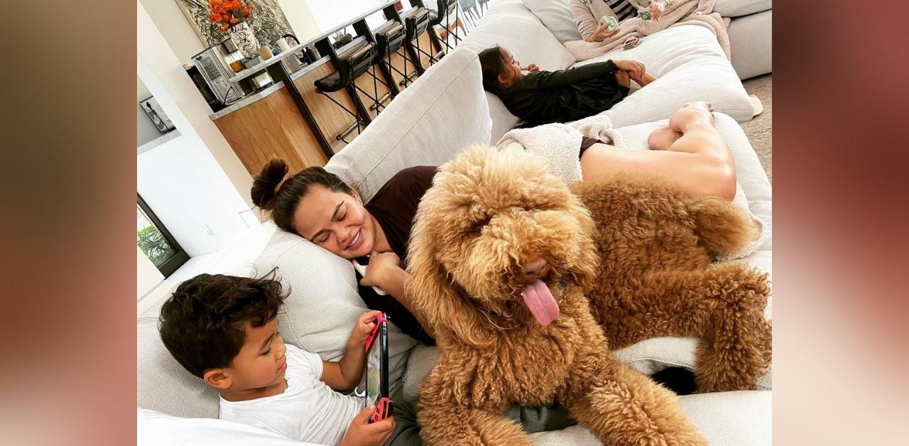 John Legend Shares Pics of Chrissy Teigen and Luna with Dogs
