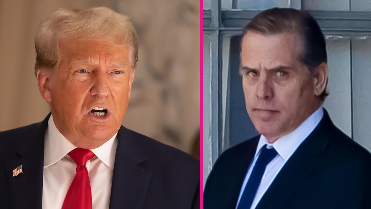 Image of Hunter Biden slammed Donald Trump while calling him a 'king.'
