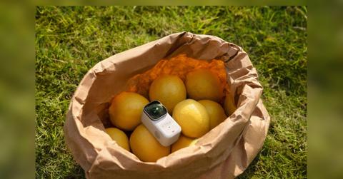 the travel essential we needed this spring capturing it all with xtra atto