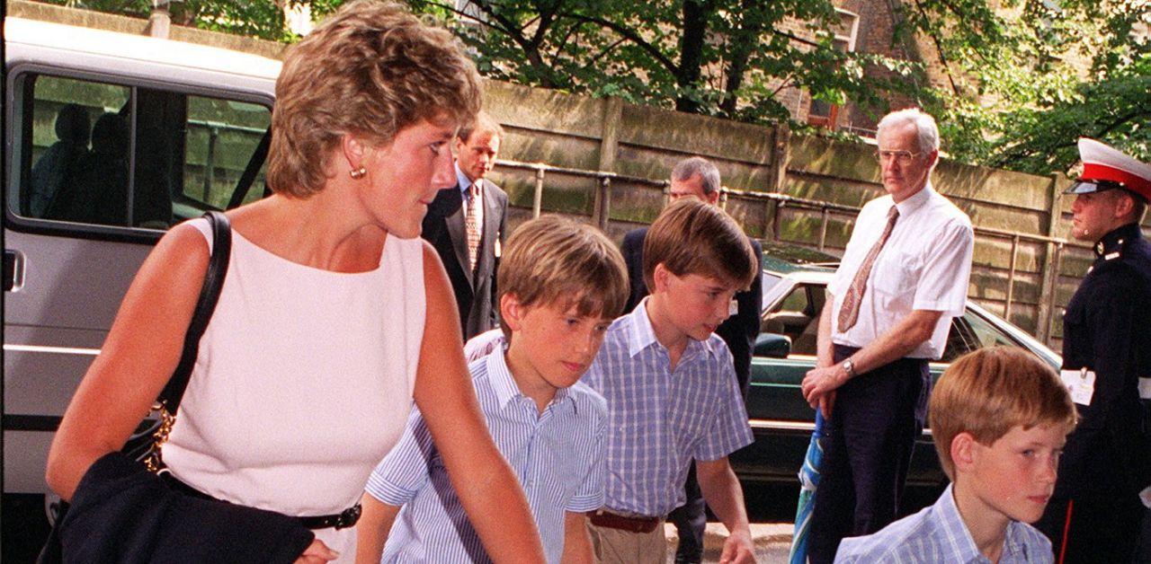 princess diana would end prince harry prince william public feud