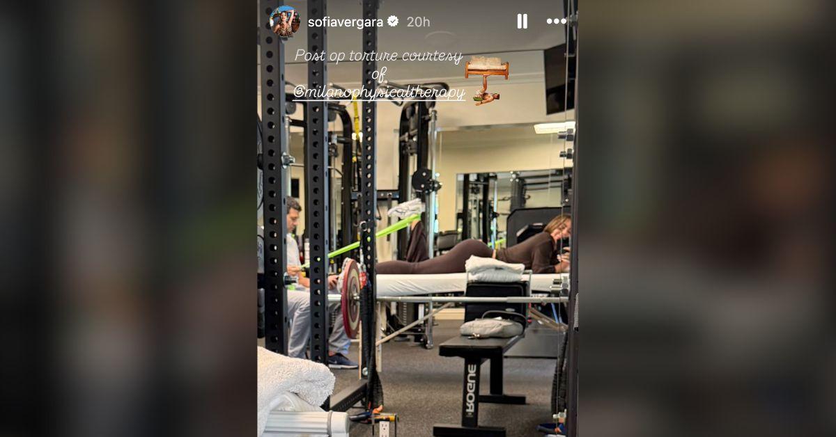 Image of Sofía Vergara is getting back in shape after knee surgery.