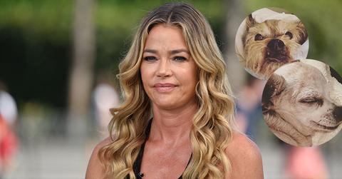 Denise Richards