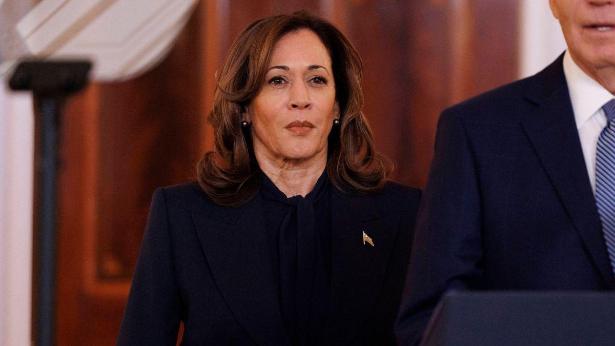 image of Kamala Harris lost to Donald Trump in 2024. 