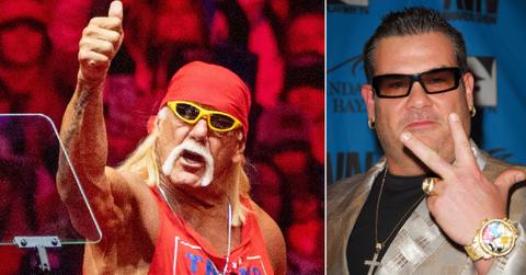 Photo of Hulk Hogan; picture of Bubba the Love Sponge.