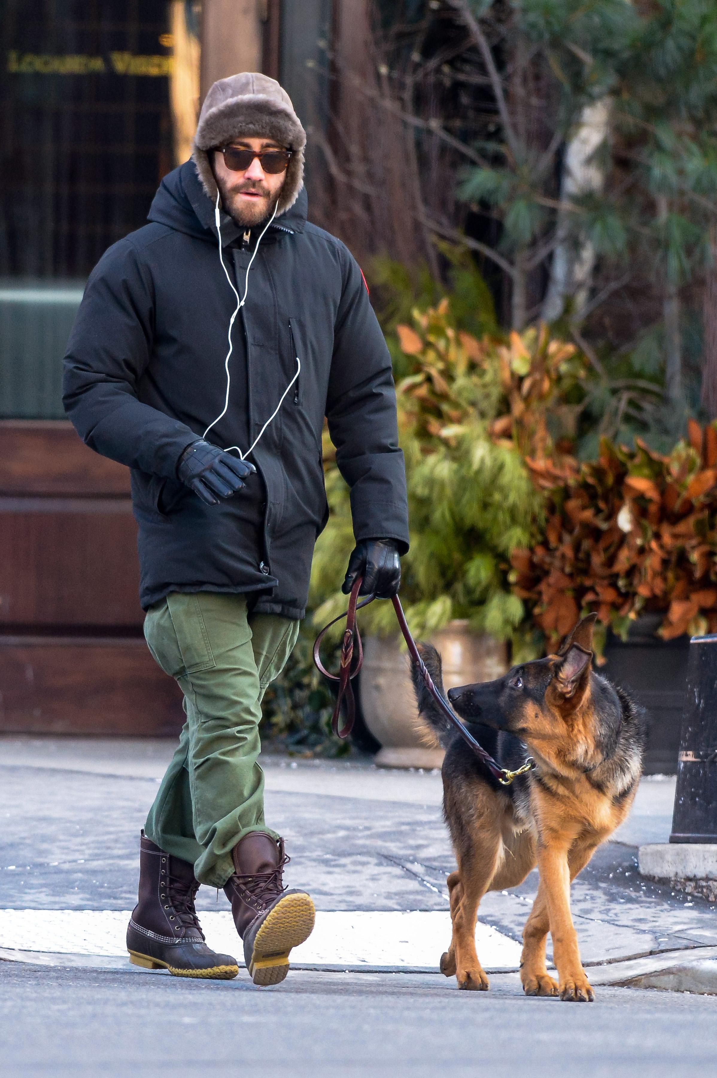 Jake Gyllenhaal walks his dog in downtown NYC