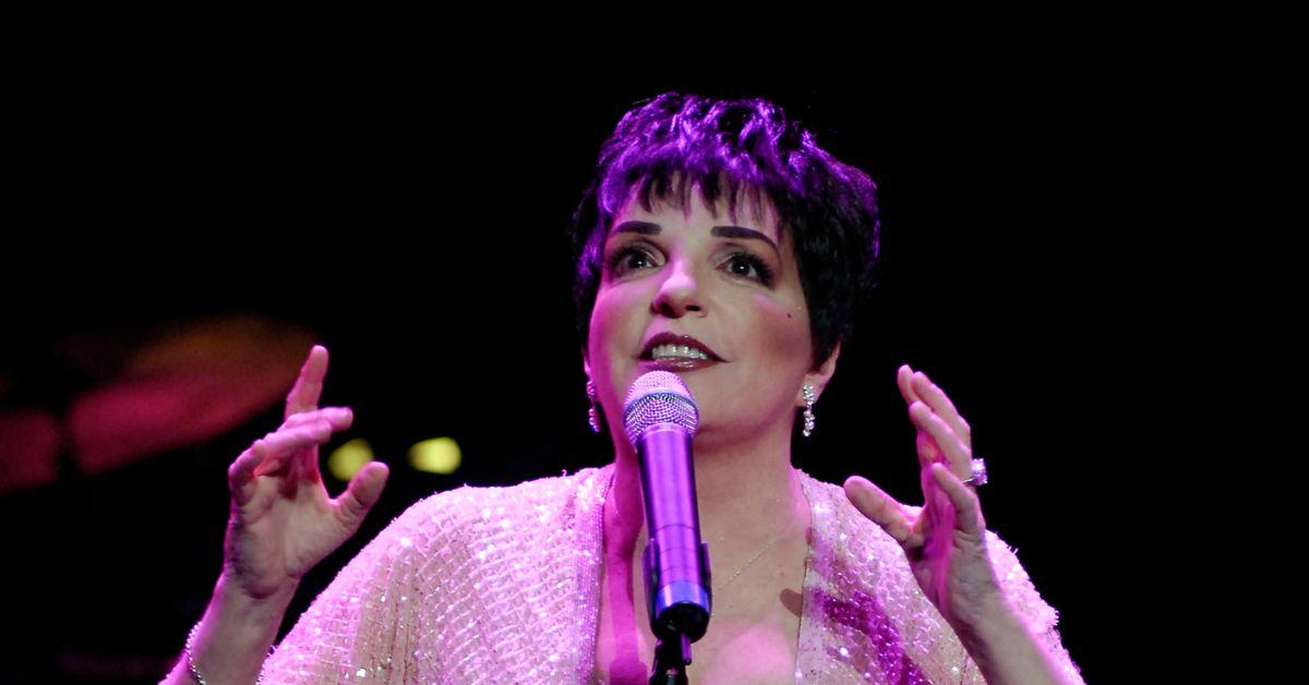 liza minnelli gambino family