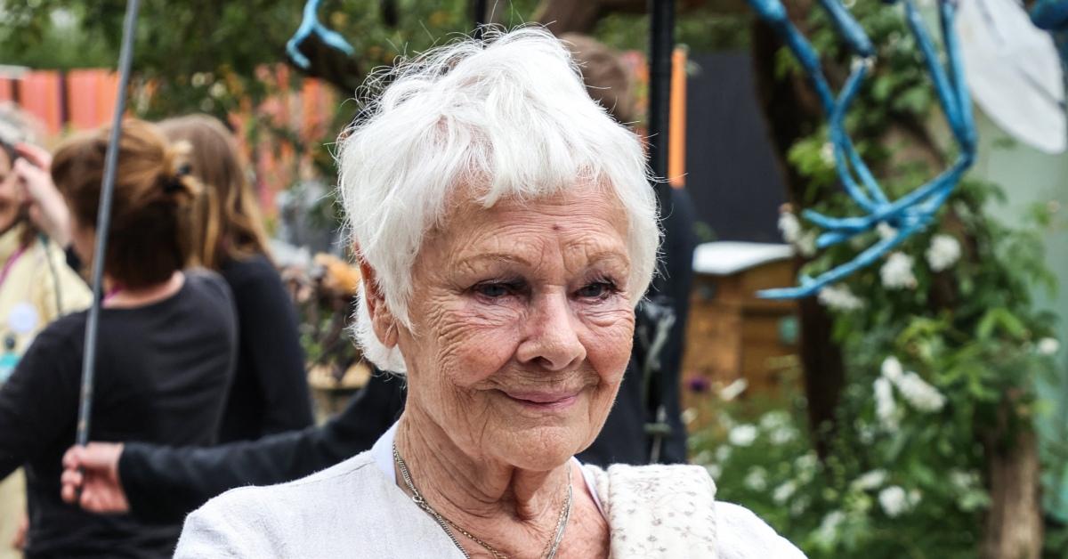 Photo of Judi Dench