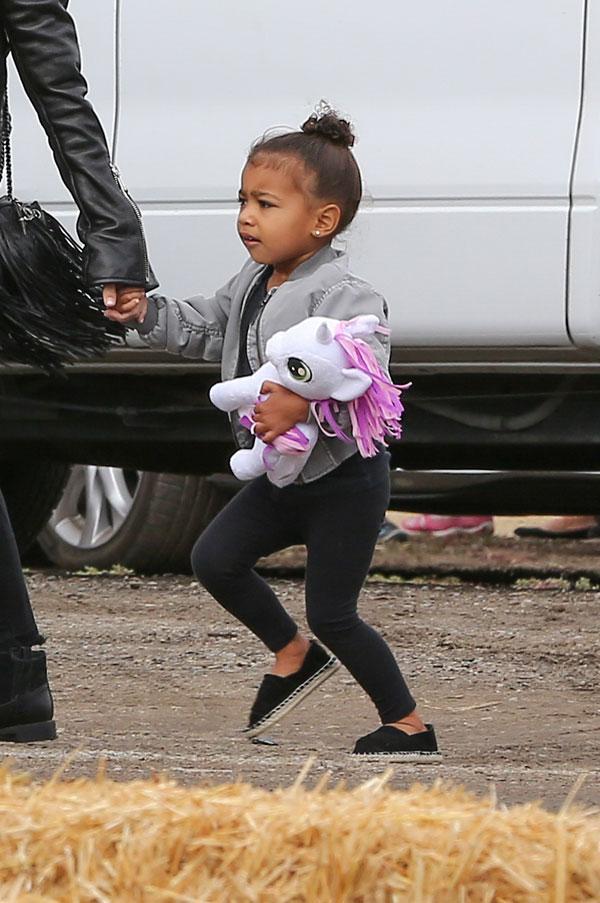 North west cranky4