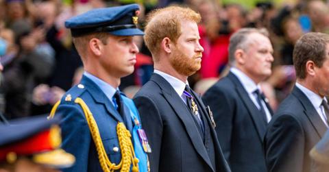 image of prince harry and prince William