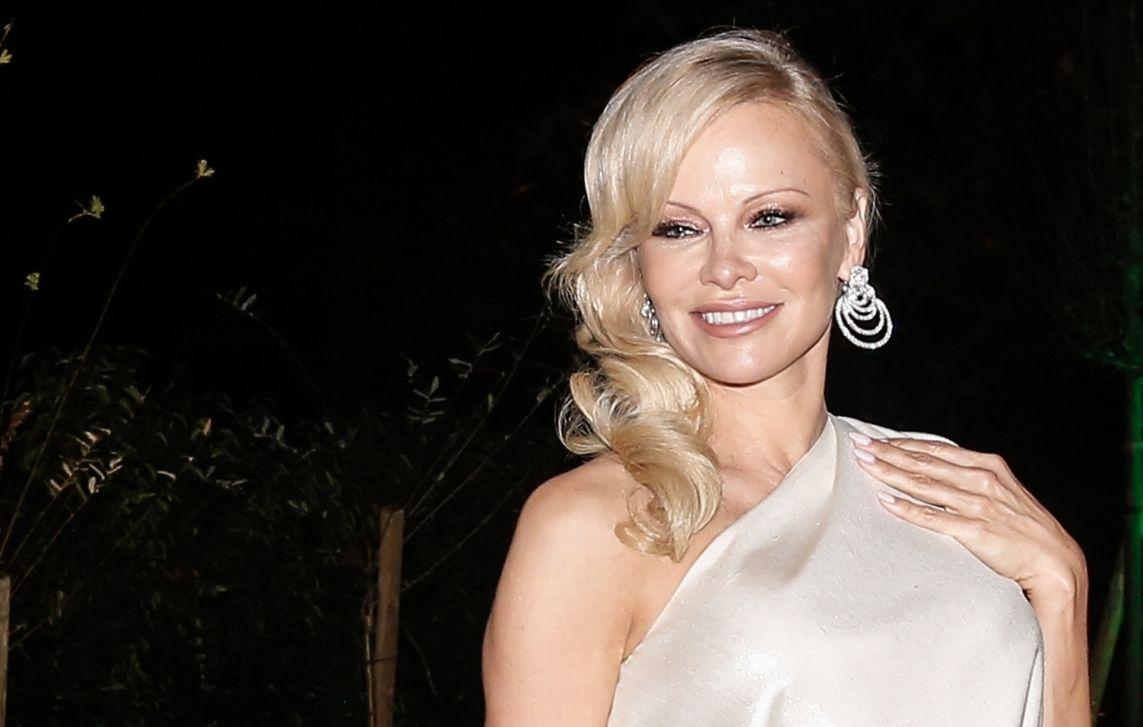 pamela anderson dan hayhurst nothing in common divroce