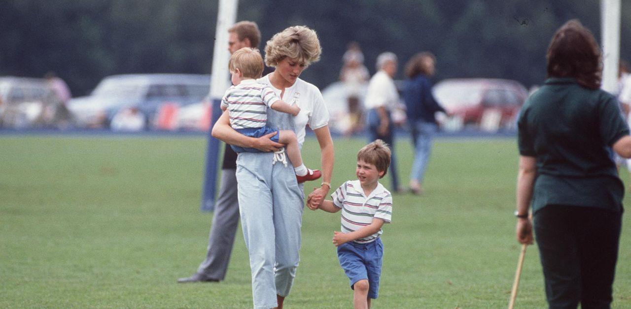 princess diana would end prince harry prince william public feud