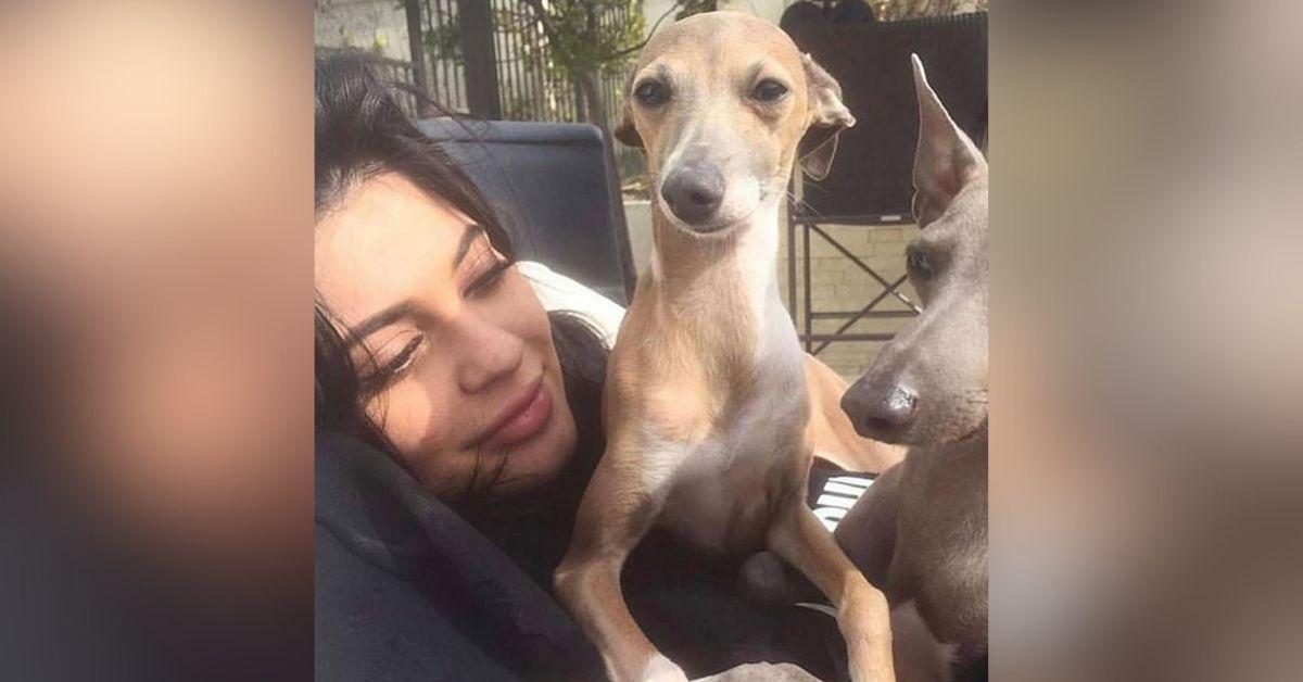 Image of Kylie Jenner got her dog at age 17.