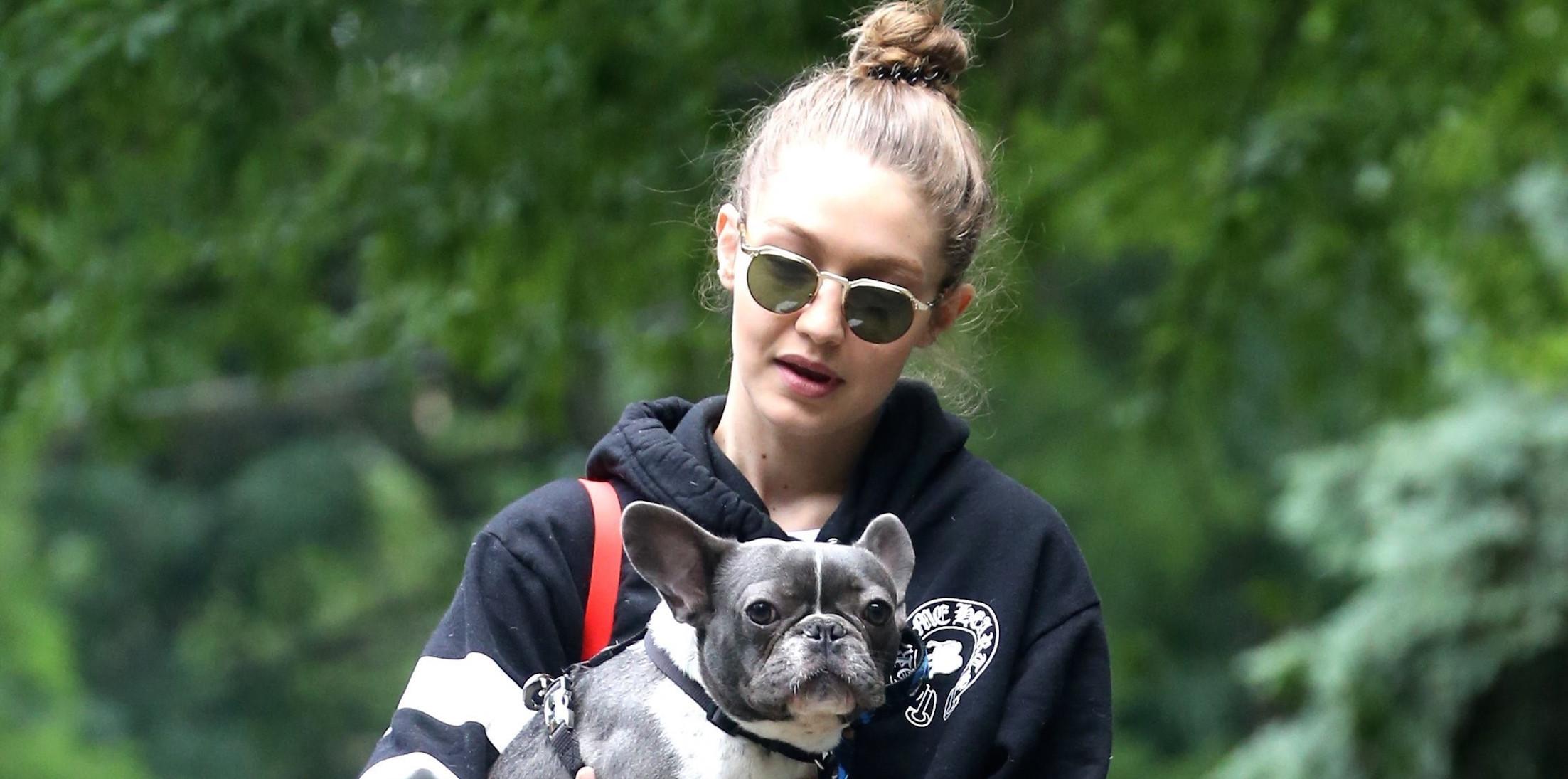 Gigi Hadid takes her French Bulldog to the park in NYC