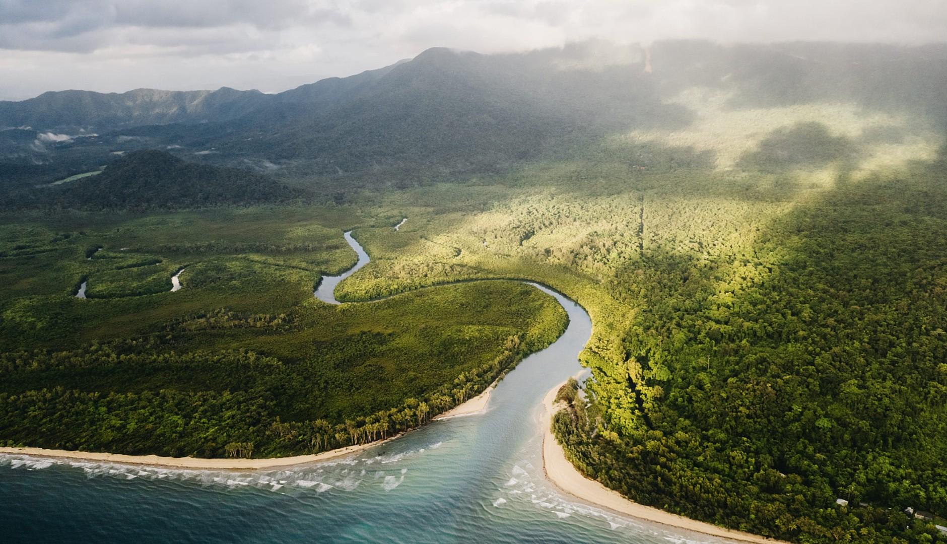 daintree