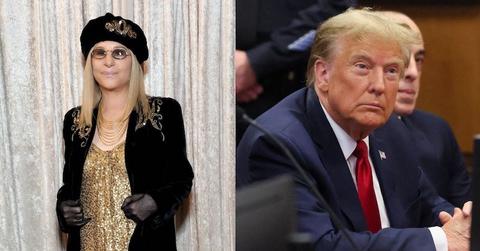 barbra streisand disses trump jail