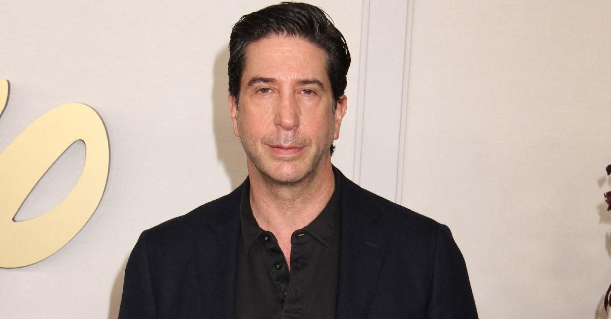 What Is David Schwimmer's Net Worth? How The Actor Made Millions