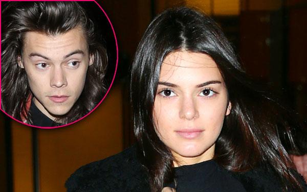 Kendall jenner family worries harry styles 06