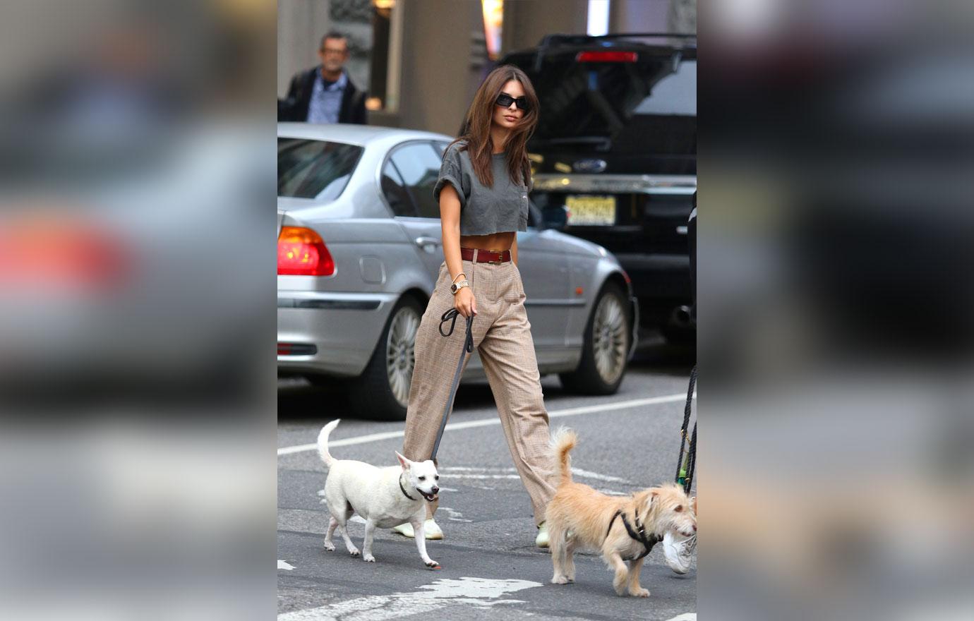 Emily Ratajkowski walks her dogs while shopping in NYC