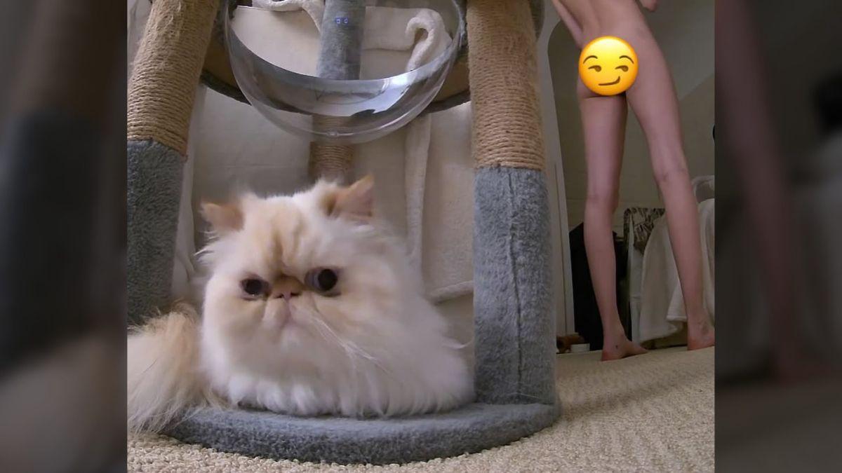 Photo of Cara Delevingne shared a photo of her girlfriend fully nude.