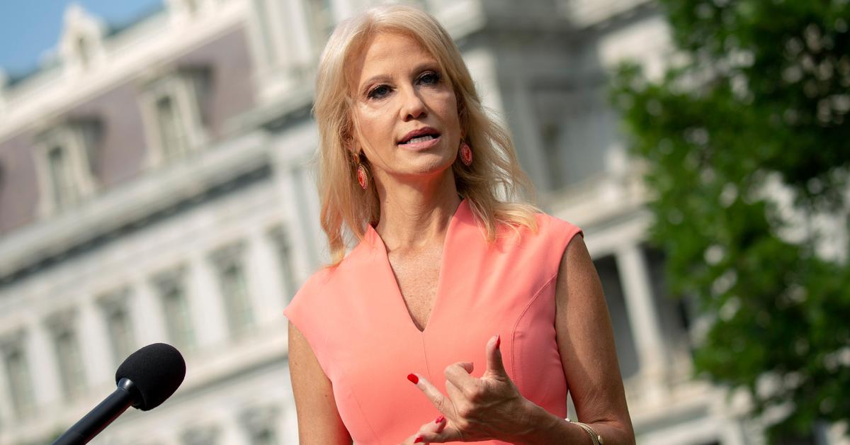Cops Investigating Kellyanne Conway After Child Abuse Claims