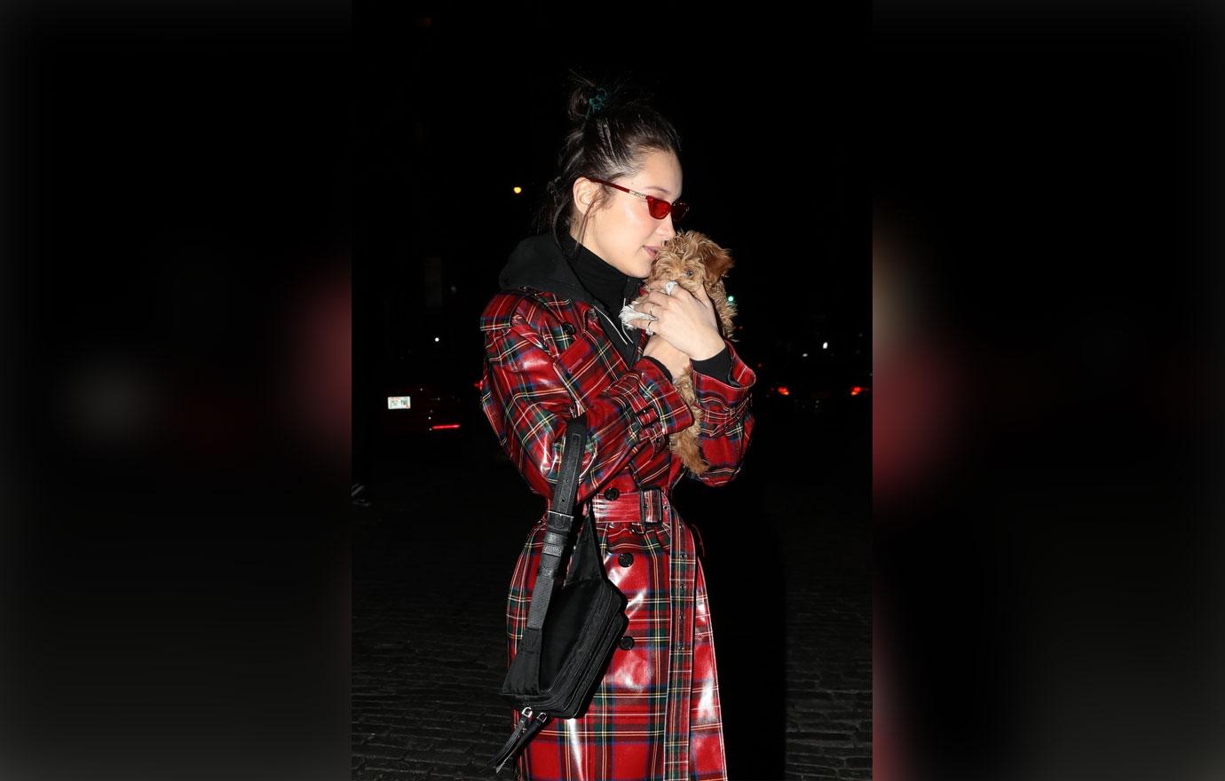 Bella Hadid cuddles a tiny puppy dog in NYC