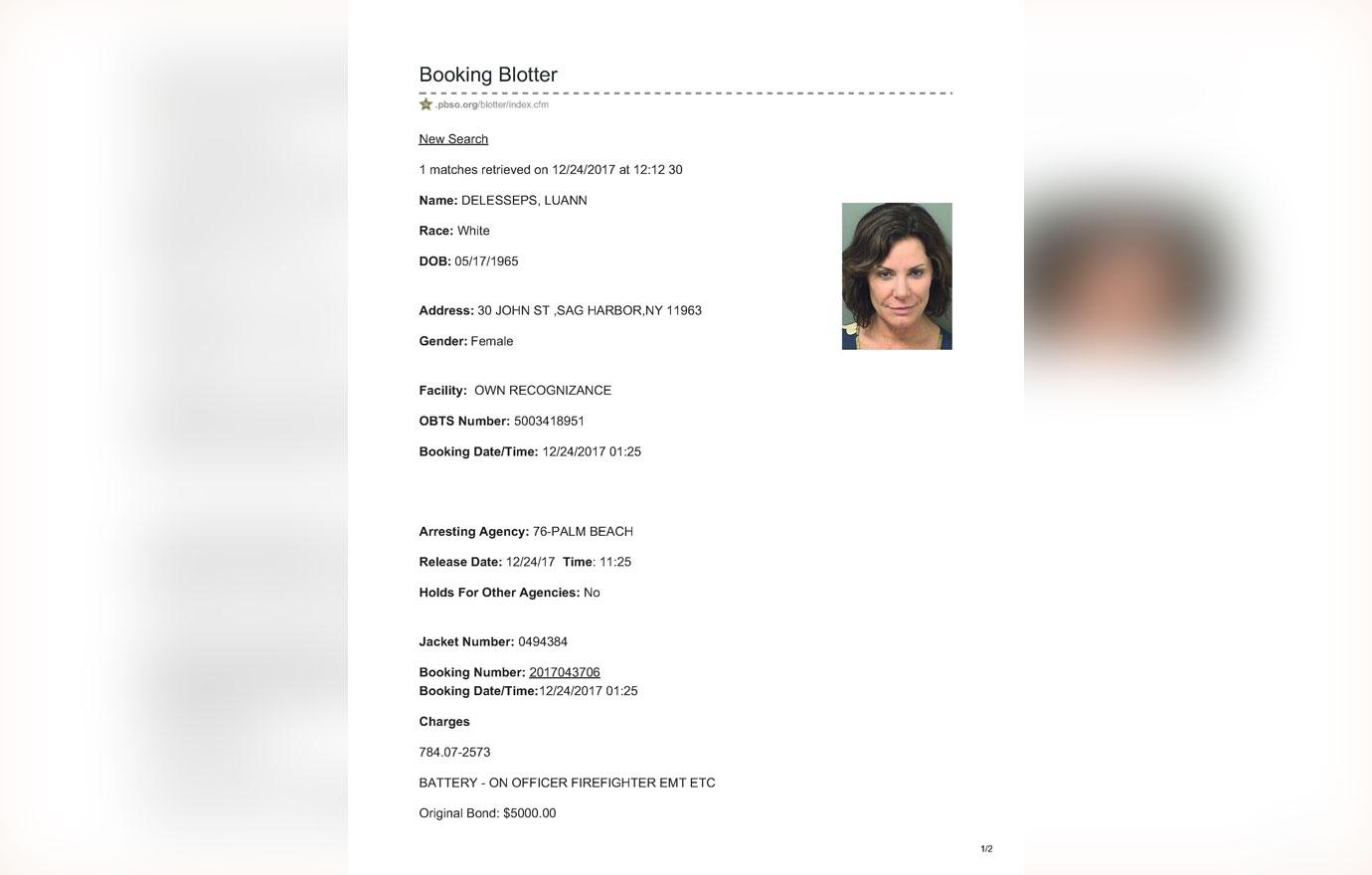 Luann de Lesseps is arrested in Palm Beach, FL