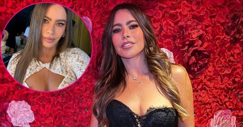 Photo of Sofía Vergara