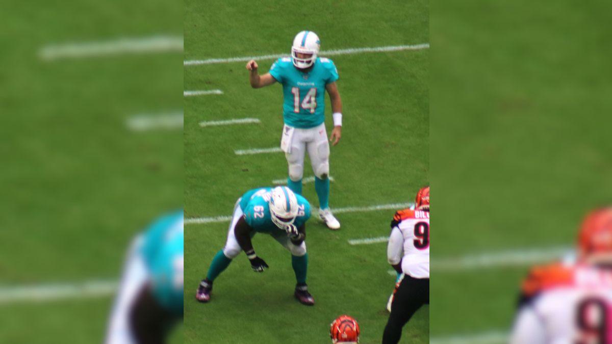 Image of Ryan Fitzpatrick said he and his wife felt 'privileged' to attend Taylor Swift and Travis Kelce's wedding.