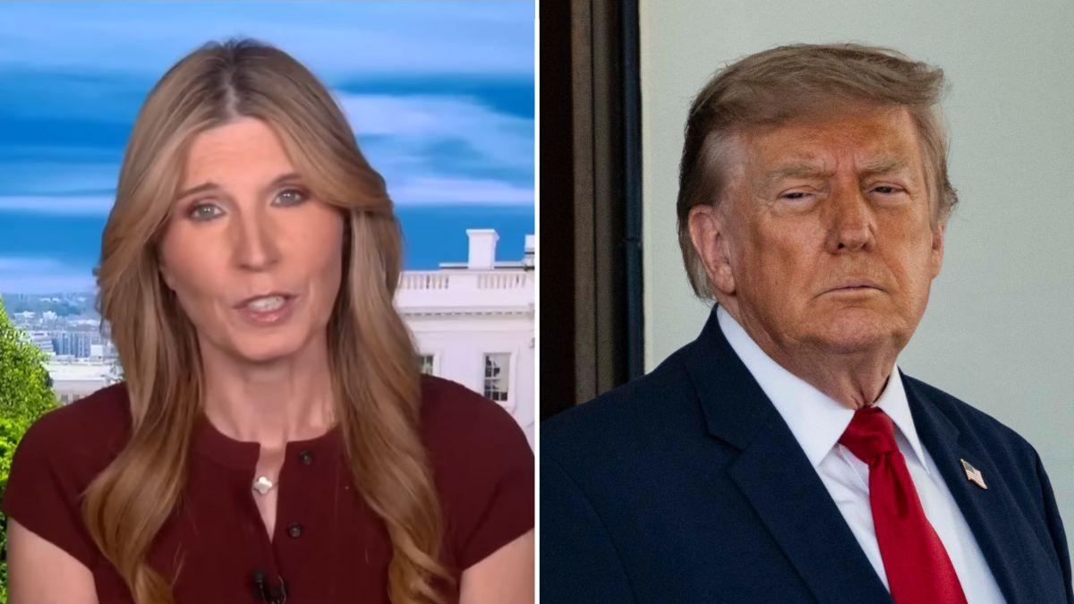 Photo of Nicolle Wallace and Donald Trump.