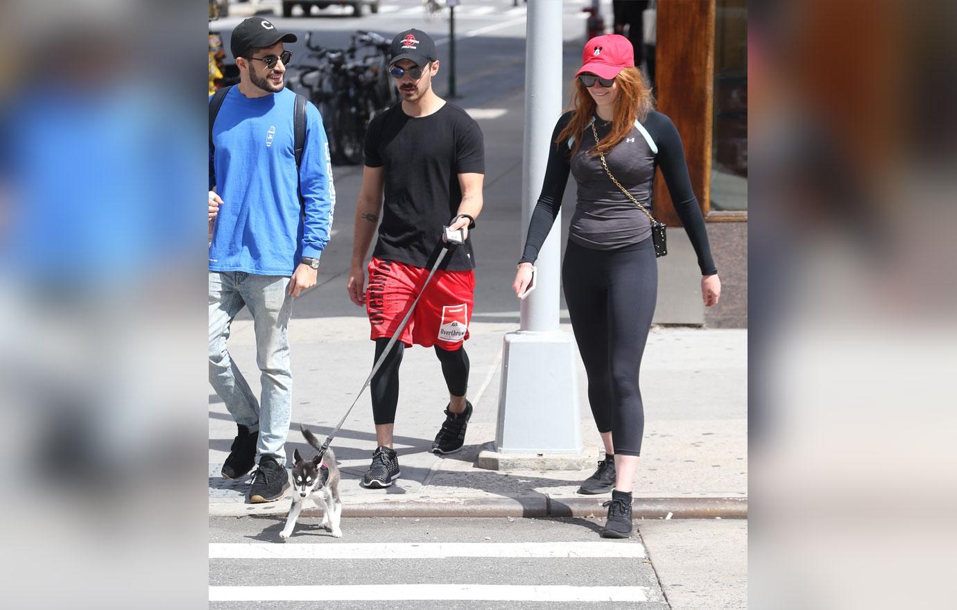 Joe Jonas Sophie Turner cute new puppy