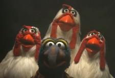 2009__11__bohemianmupp 225×152.jpg