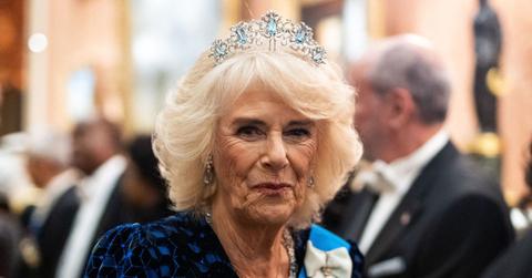 queen camilla declares no intention stop commitment ending domestic violence