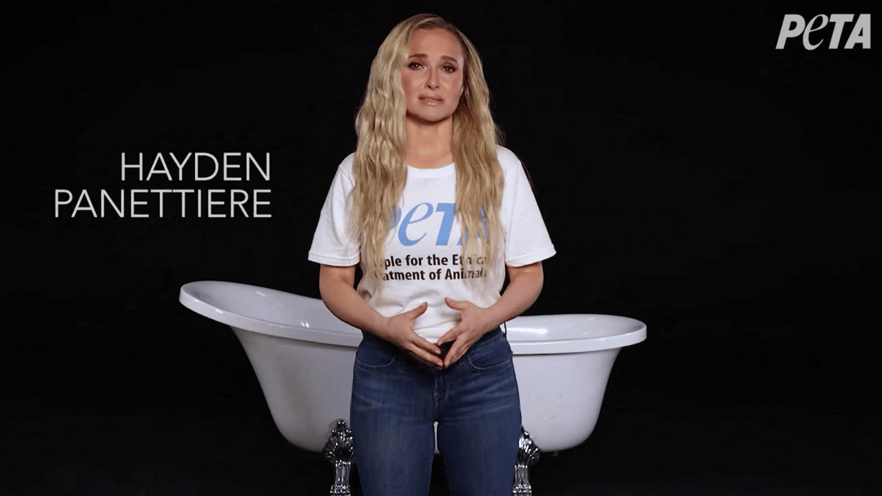Hayden Panettiere