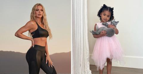 khloe kardashian accused facetuning photo cat