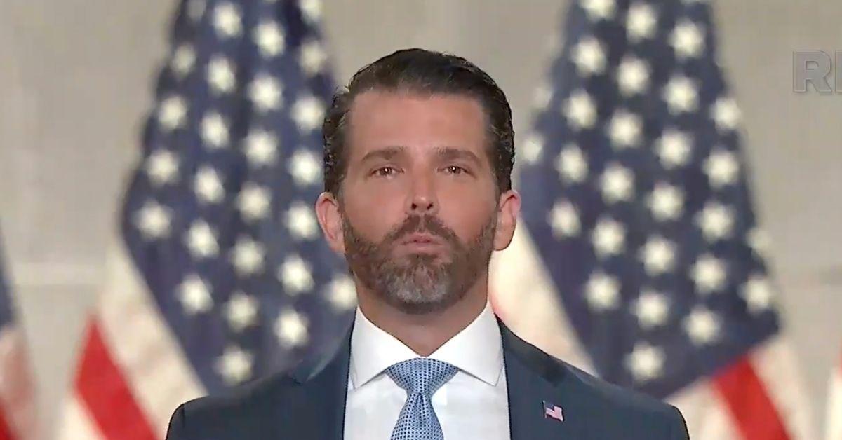 donald trump jr cameo videos legal fees