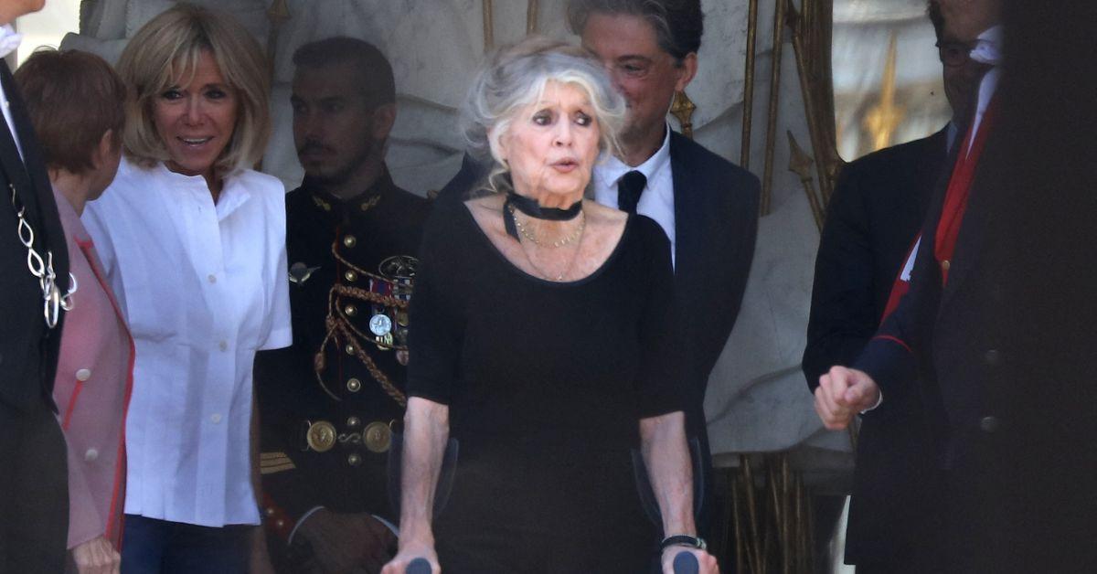 image of Brigitte Bardot opened up about her past struggles.