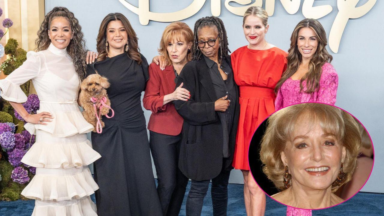 Image of 'The View' panel and (inset) Barbara Walters.